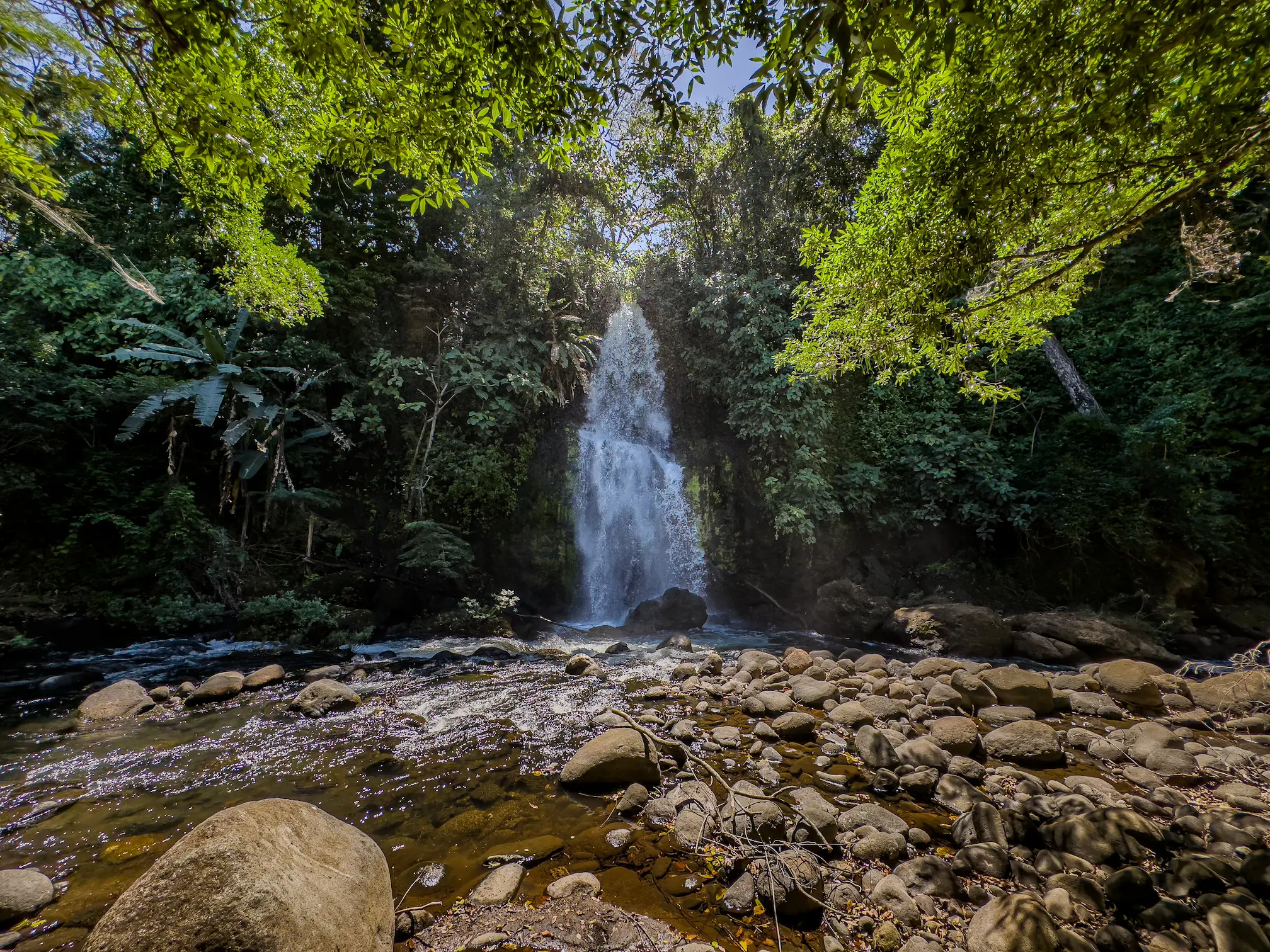 Lush landscape with a waterfall